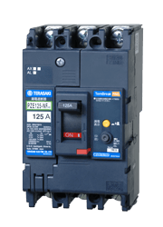 RCDs & Earth-Leakage Protection