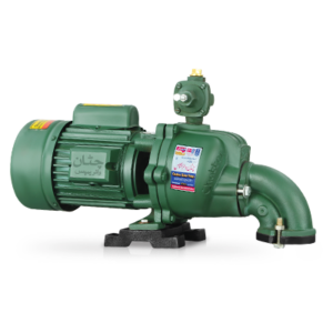 Chattan Pumps
