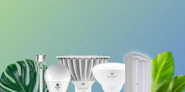 Grow Light LED