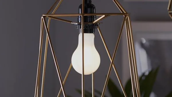 A19 General Purpose