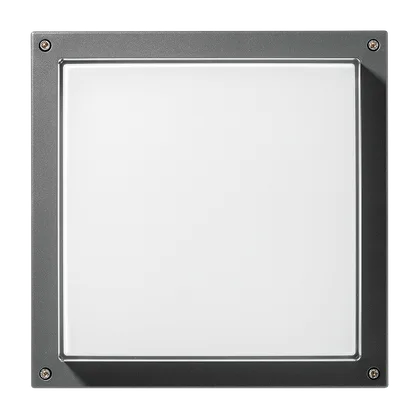 BLIZ SQUARE 40
