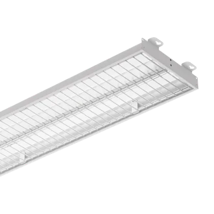 GYM+