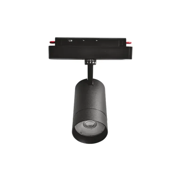 High color rendering index, restoring true color, magnetic guide light