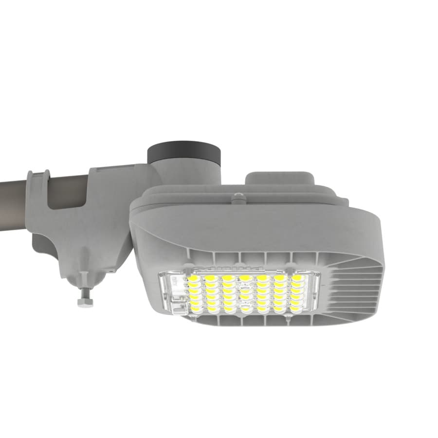 EssentialForce Plus