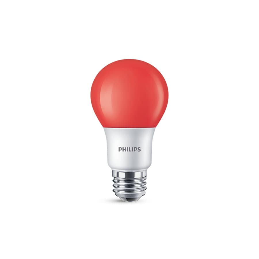 LED Party Bulbs