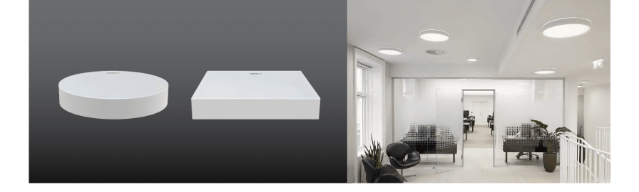 Frameless Downlight